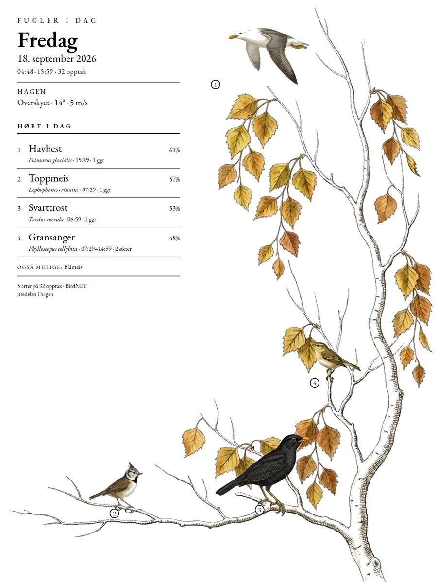 Fredag 18. september 2026: Havhest, Toppmeis, Svarttrost, Gransanger